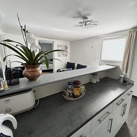 Appartement Detox Au Pied Du Semnoz Seynod Ngoại thất bức ảnh
