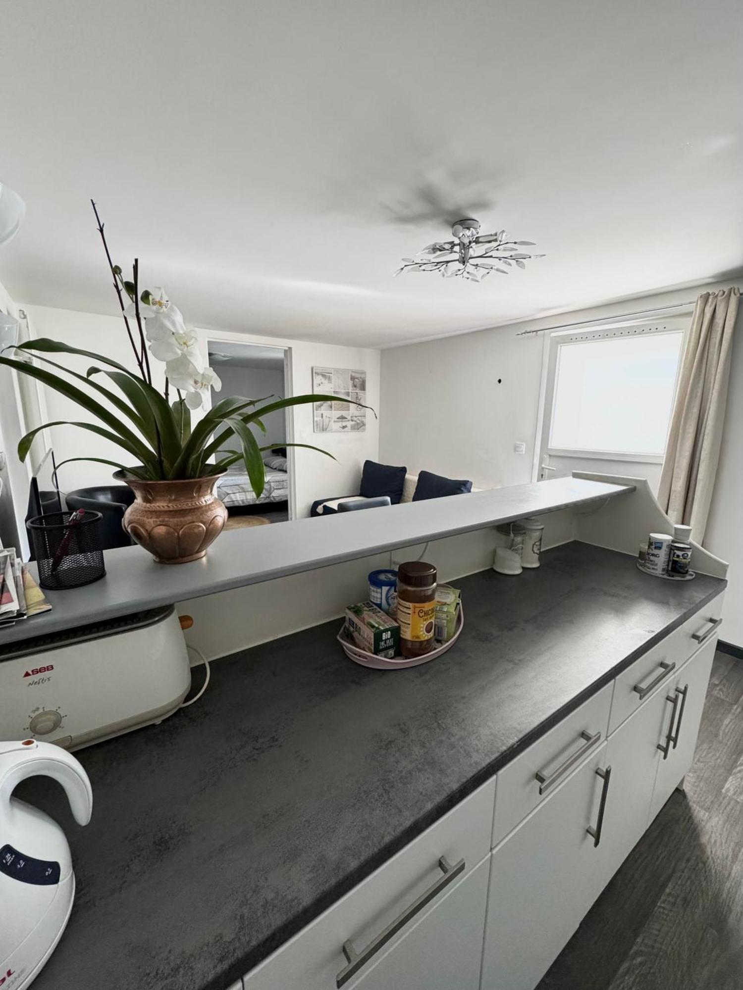 Appartement Detox Au Pied Du Semnoz Seynod Ngoại thất bức ảnh
